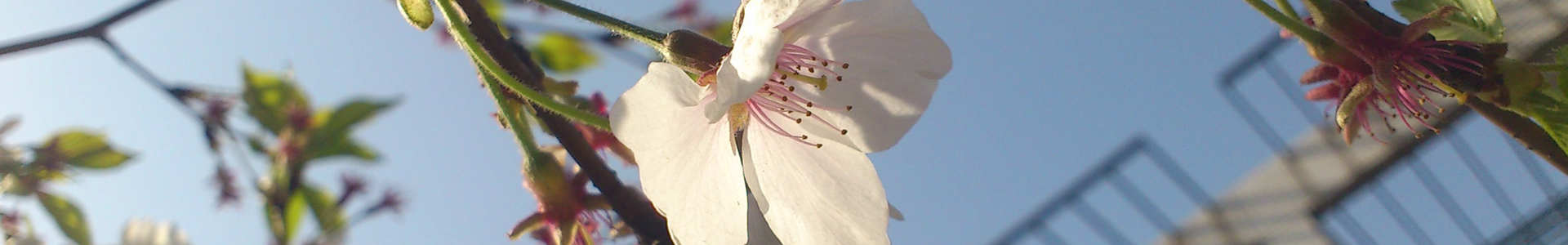 英国上市公司365